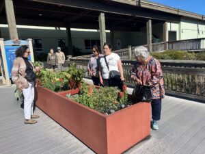 IMG_1147